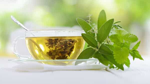 Green Tea: అందరూ తాగొచ్చు అనుకుంటే పొరపాటే.. ఈ సమస్యలు ఉన్నవారు గ్రీన్ టీకి దూరంగా ఉండాలి!
