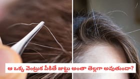 ఆ ఒక్క వెంట్రుక పీకితే జుట్టు అంతా తెల్లగా అవుతుందా?