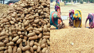 Andhra: RDO వాహనాన్ని వేలం వేసి.. వచ్చిన డబ్బు ఆమెకు ఇవ్వాలని కర్నూలు కోర్టు సంచలన తీర్పు