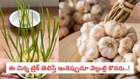 ఈ చిన్న ట్రిక్ తెలిస్తే ఇంకెప్పుడూ వెల్లుల్లి కొనరు..!