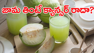 Masala Papad: మసాలా పాపడ్ ఇష్టంగా తింటున్నారా..? వీరికి మాత్రం చాలా డేంజర్..!