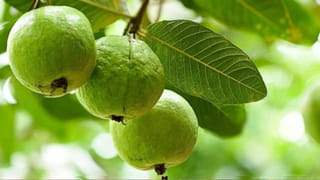 అలసటను తరిమికొట్టే సూపర్ ఫుడ్స్ ఇవే.. తింటే మీకు తిరుగుండదు..