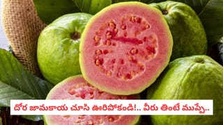 Radish Leaves: ఒకప్పుడు పారేసిన  ఈ ఆకులే.. బిపి, షుగర్ ని కంట్రోల్ చేసే చలికాలపు దివ్యౌషధం!