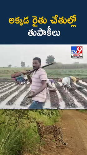 రైతుల చేతిలో తుపాకులు.. అసలు విషయం ఏమంటే..?