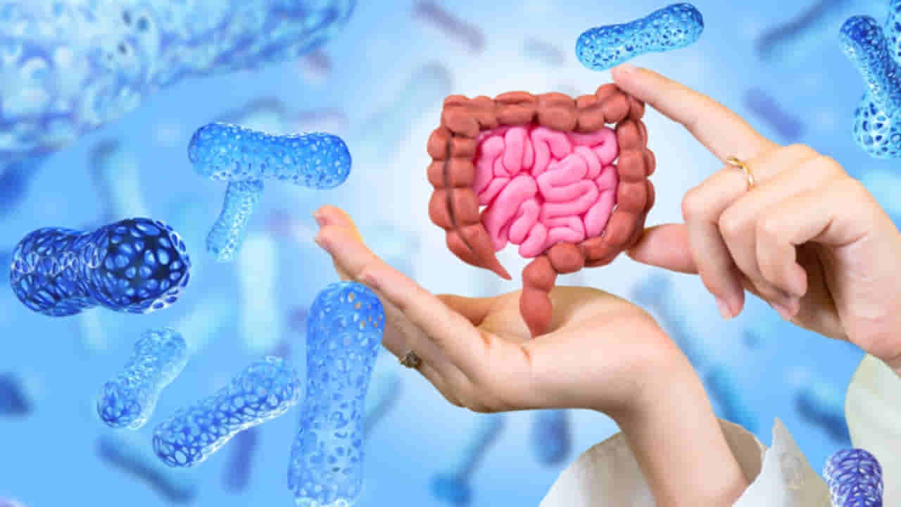 Gut Health: కడుపు బాగోలేకపోతే.. మీ జీవితమే ఖల్లాస్.. డాక్టర్ నాగేశ్వర్ రెడ్డి విలువైన సలహాలు మీ కోసం