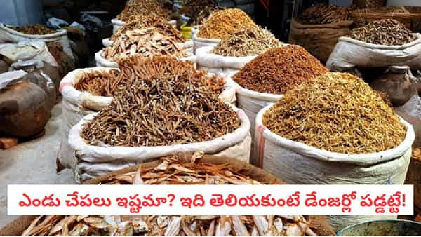 Dry Fish: రుచికి రారాజు.. ఈ 5 రకాల సమస్యలు ఉన్నవారు ఎండు చేపలను ముట్టుకోవద్దు!