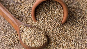 మన పూర్వీకులు తిన్న ఈ ఆహారంలో ఇన్ని సీక్రెట్స్ ఉన్నాయా.. తింటే..