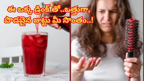 ఈ ఒక్క డ్రింక్ తో.. జుట్టు రాలడం తగ్గి, ఒత్తుగా, పొడవైన జడ మీ సొంతం..!