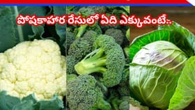 బ్రోకలీ vs కాలీఫ్లవర్‌ vs క్యాబేజీ.. మీ ఆరోగ్యానికి ఏది బెస్ట్?
