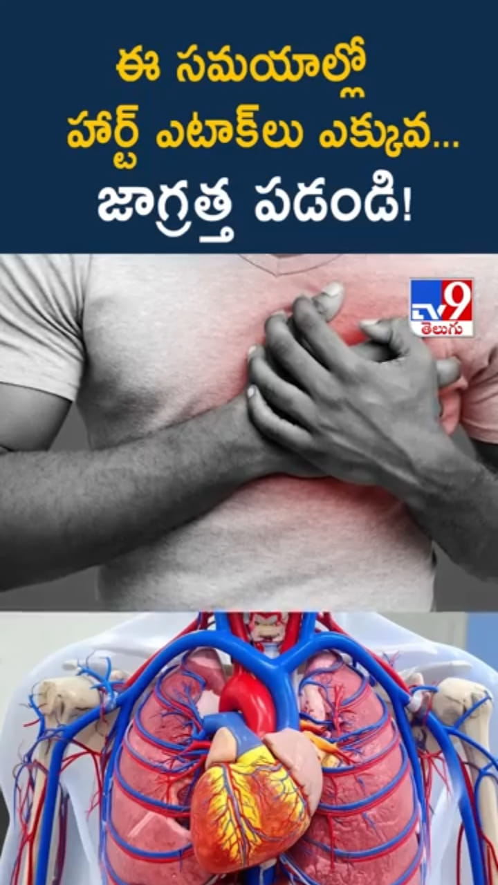 Heart Attacks: ఆ టైమ్‌లో హార్ట్ ఎటాక్‌లు ఎక్కువ... జాగ్రత్త పడండి!