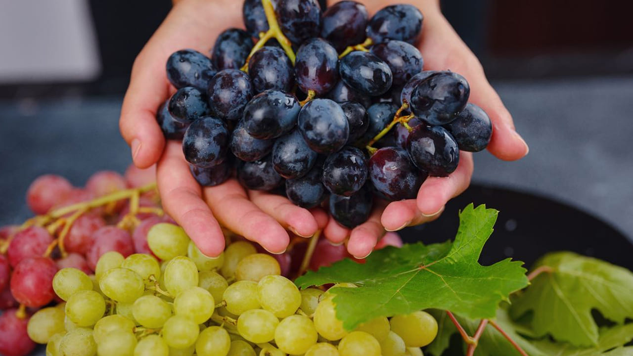 వారు  ద్రాక్ష పండ్లను ప్రతి రోజూ తినే వారిపై అధ్యయనం చేయగా, అందులో ఆశ్చర్యకర విషయాలు వెలుగులోకి వచ్చాయంట. ముఖ్యంగా ద్రాక్ష పండ్లు తినే వారి ఆరోగ్యం క్రమంగా చాలా మెరుగు పడిందంట. ముఖ్యంగా గుండె సంబంధ సమస్యల ప్రమాదం చాలా వరకు తగ్గిందని వారు తెలియజేశారు. ద్రాక్ష పండ్లలో యాంటీ ఆక్సిడెంట్స్ పుష్కలంగా ఉండటం వలన ఇవి చెడు కొలెస్ట్రాల్‌ను తగ్గించి, గుండె ఆరోగ్యానికి కారణం అవుతున్నాయని వారు తెలియజేయడం జరిగింది.