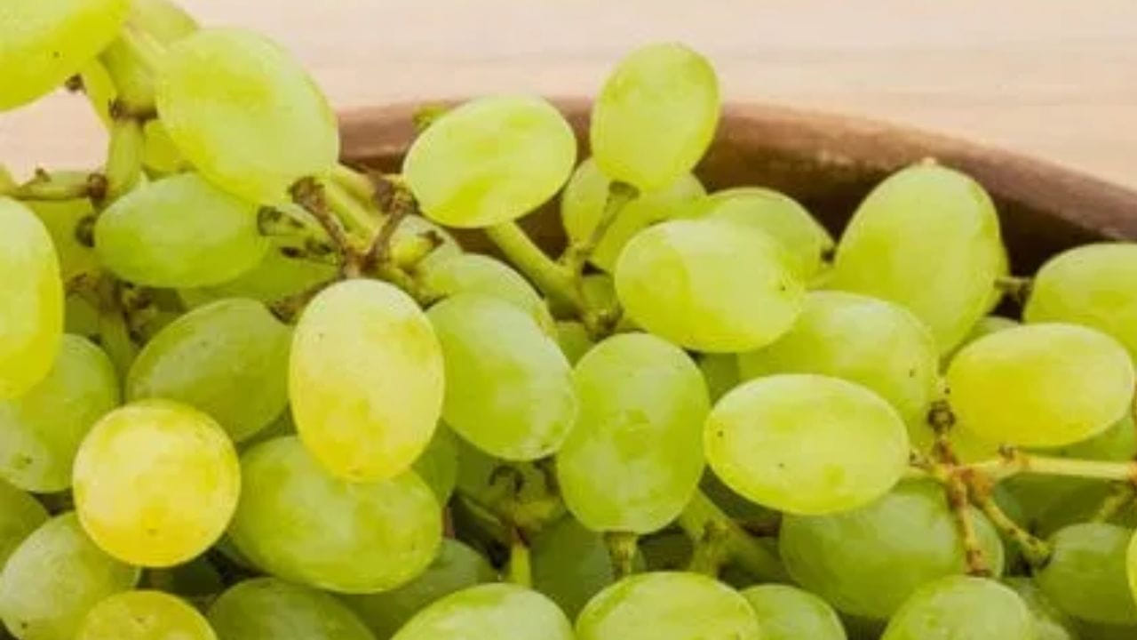చెడు కొలెస్ట్రాల్‌ను తగ్గించమే కాకుండా ప్రయోజనకరమైన గట్ బ్యాక్టీరియాకు ఇవి దోహద పడుతున్నాయంట. ప్రతి రోజూ ద్రాక్ష పండ్లు తినడం వలన ఇవి గట్ బ్యాక్టీరియాను మెరుగు పరిచి, జీర్ణ సమస్యలను తగ్గిస్తుంది. పేగు ఆరోగ్యాన్ని ప్రోత్సహిస్తుంది. ముఖ్యంగా ఇవి మలబద్ధకం, గ్యాస్ , ఎసిడిటీ వంటి సమస్యలను కూడా తగ్గించడంలో కీలకంగా పని చేస్తాయంట.