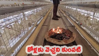 వార్నీ.. ఈ మహిళా దొంగ ఐడియా చూస్తే.. పోలీసులే షాక్.. వాటిని ఎక్కడ దాచారో తెలుసా..!