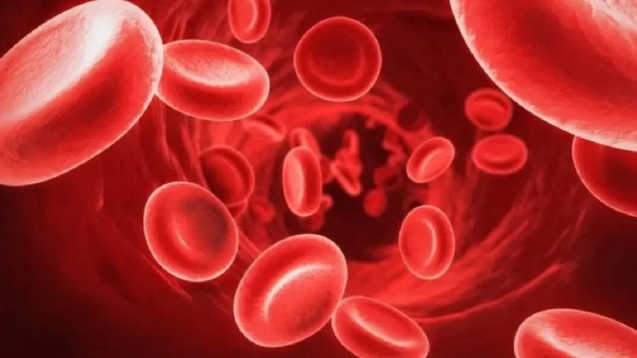 కొందరు వైద్యులను సంప్రదించకముందే సోషల్ మీడియాలో వీడియోలు చూసి సొంత వైద్యం చేస్తుంటారు. ఆహారంలో మార్పులు చేస్తుంటారు. ఈ మార్పులు వైద్యుడిని సంప్రదించిన తర్వాత కాకుండా వీడియోలు చూసిన తర్వాత చేయడం చాలా ప్రమాదకరం. కేవలం సోషల్ మీడియాలో వీడియోలు చూసి ఆహారాన్ని మార్చుకోవడం అంత మంచిది కాదు. 