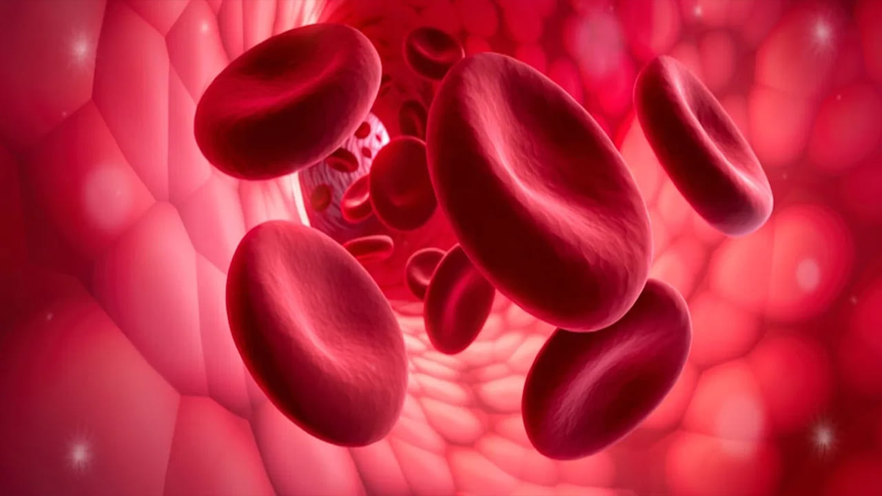 పసుపు పాలు ఆరోగ్యానికి ఖచ్చితంగా మేలు చేస్తాయి. కానీ ఇది అందరికీ మేలు చేస్తుందని చెప్పడం కష్టం. కాబట్టి హిమోగ్లోబిన్ సంబంధిత సమస్యలు ఉన్నవారు పసుపు పాలు తాగడం నివారించాలి. అవగాహన లేకుండా పసుపు పాలు తాగడం వల్ల ఆరోగ్య సమస్యలు తీవ్రమవుతాయి. ఇది రోగనిరోధక శక్తిని కూడా నేరుగా ప్రభావితం చేస్తుంది.