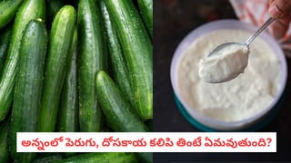 Vegetable Skins: పొరపాటున కూడా ఈ కూరగాయలకు తొక్క తీయకండి.. మీరు కోల్పోయేది ఇదే..