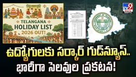 ఉద్యోగులకు సర్కార్ గుడ్‌న్యూస్‌..భారీగా సెలవుల ప్రకటన వీడియో