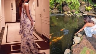 Tollywood : హైకోర్టుకు రాజాసాబ్, మన శంకరవరప్రసాద్ గారు చిత్ర నిర్మాతలు..