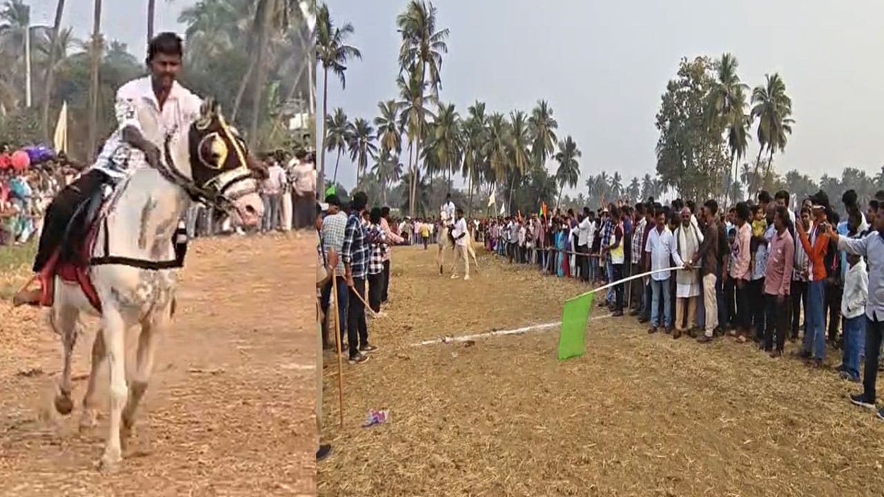 Andhra: నో కోడి పందాలు.. సంక్రాంతికి అక్కడ గుర్రాల పోటీలు స్పెషల్.. వీడియో చూశారా..?