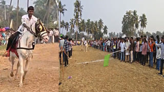 గంగిరెద్దుల ప్రదర్శనను తిలకించిన తాత.. ఎడ్ల బండిపై ఆకట్టుకున్న మనవడు..!