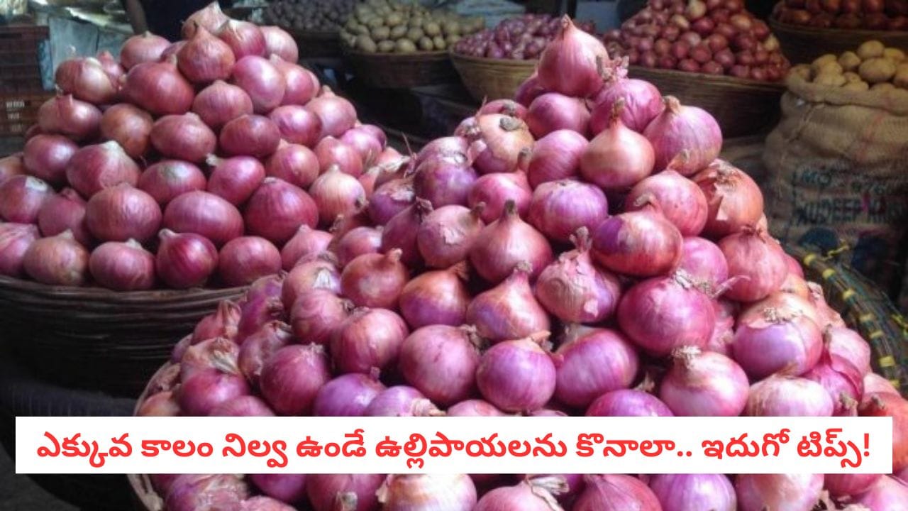 Onion Hacks: ఉల్లిపాయలు కొంటున్నారా? ఈ 4 విషయాలు గమనించకపోతే మీ డబ్బులు వృథా అయినట్టే!