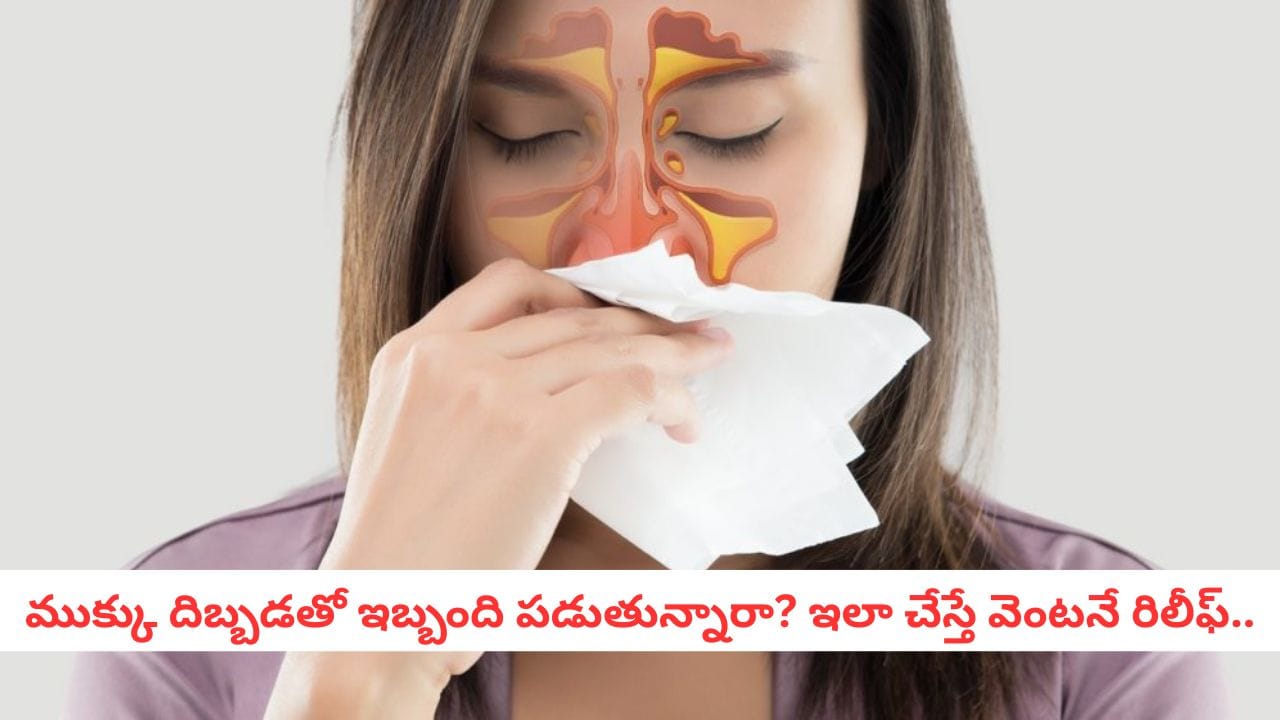 Runny Nose: ముక్కు దిబ్బడకు చెక్! ఈ టిప్స్ పాటిస్తే హాయిగా శ్వాస తీసుకోవడం ఖాయం!