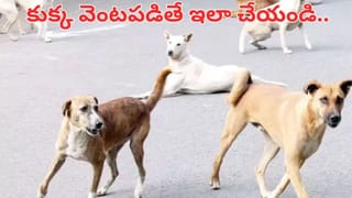 టీ, కాఫీ ఇలా తాగితే విషమే.. మీరు చేసే ఈ తప్పులతో మీ బాడీ షెడ్డుకే..