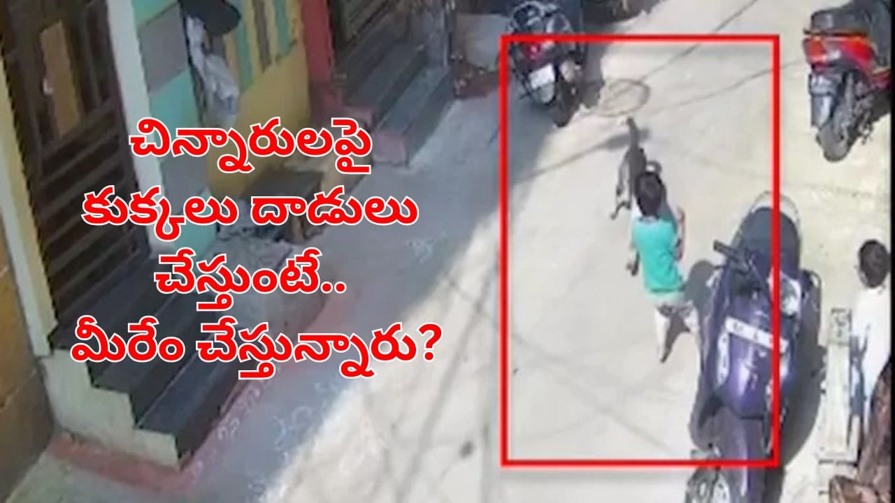 Hyderabad: చిన్నారులపై కుక్కలు దాడులు చేస్తుంటే.. మీరేం చేస్తున్నారు?.. అధికారులపై HRC సిరియస్