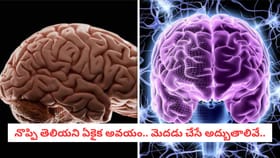 నొప్పి తెలియని ఏకైక అవయం.. మెదడు చేసే అద్బుతాలివే..