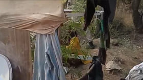 గుట్టుగా నిర్మానుష్య ప్రాంతంలో గుప్పుమన్న వాసన.. మొక్క ఏపుగా..