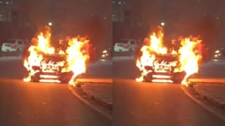 Telangana: తెలంగాణలో మూగజీవాల మారణకాండ.. 100 కుక్కలను చంపి పూడ్చిపెట్టిన..