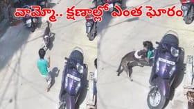 వామ్మో.. చూస్తుండగానే చిన్నారిపైకి దూసుకొచ్చిన వీధి కుక్క..