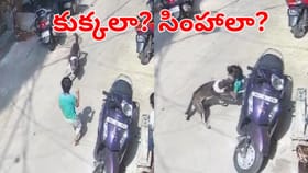 వామ్మో.. చూస్తుండగానే చిన్నారిపైకి దూసుకొచ్చిన వీధి కుక్క..