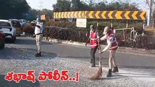 3 ఏళ్ల క్రితం నేలకొరిగిన తాటి చెట్టు లేచి నిల్చుంది.. బ్రహ్మంగారి కాలజ్ఞానం నిజమేనేమో?