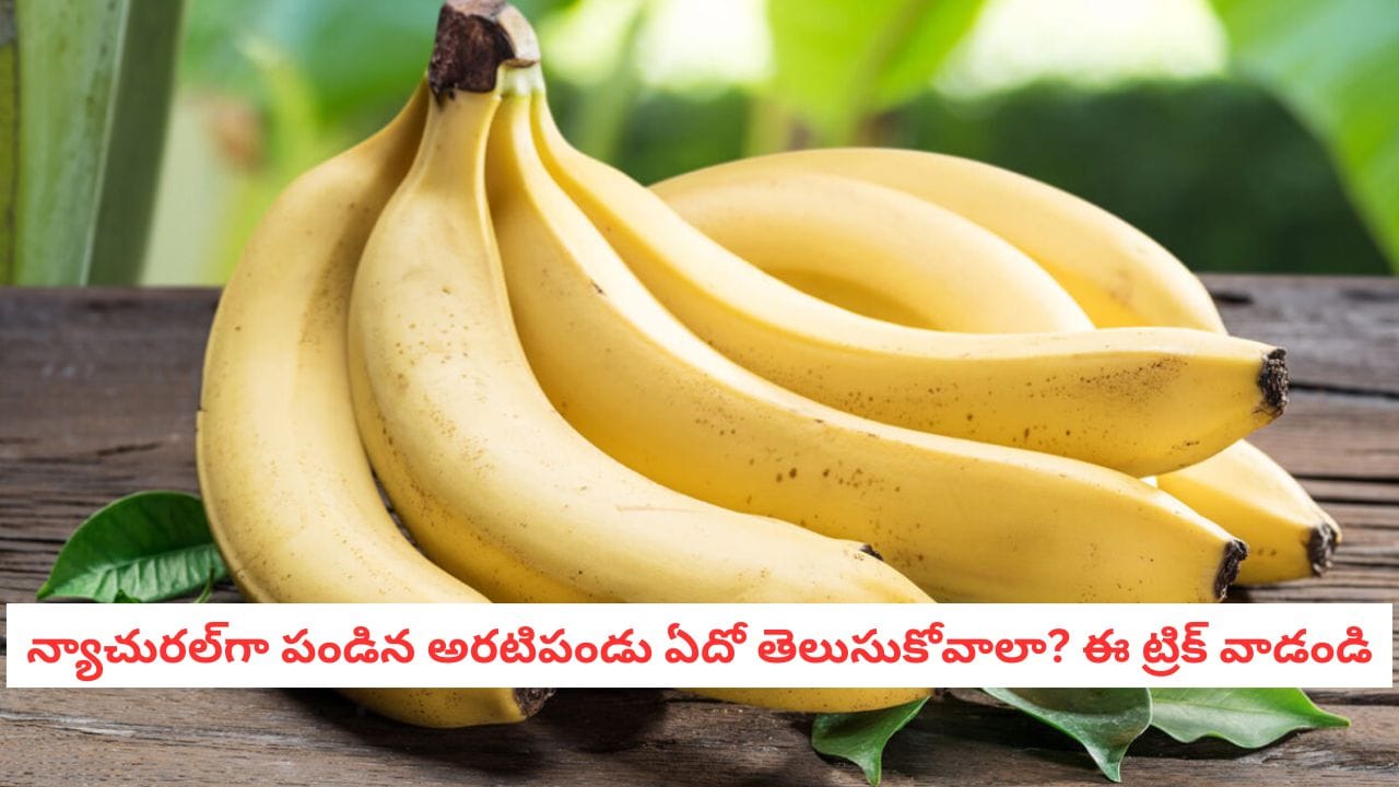 Natural Bananas: కార్బైడ్ మాయాజాలం.. రసాయనాలతో పండించిన అరటిపండ్లను కనిపెట్టే ట్రిక్స్ ఇవే!