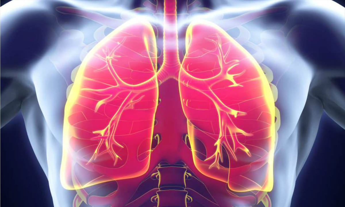 Artificial Lungs: కృత్రిమ ఊపిరితిత్తులు వస్తున్నాయ్.. IIT హైదరాబాద్‌లో పరిశోధనలు షురూ!