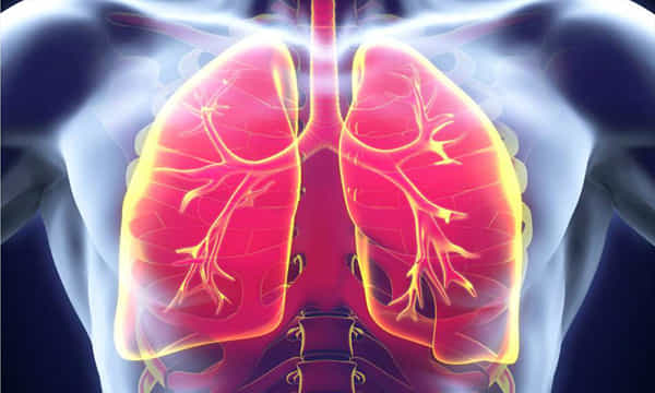Artificial Lungs: కృత్రిమ ఊపిరితిత్తులు వస్తున్నాయ్.. IIT హైదరాబాద్లో పరిశోధనలు షురూ!