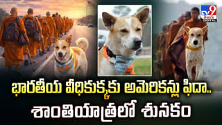 మూడు గంటలు తాటిచెట్టుపై వేలాడుతూ గీత కార్మికుడు