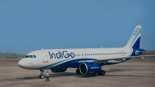 ఎరుపు రంగు చూస్తే నిజంగానే ఎద్దులు రెచ్చిపోతాయా?.. దీని వెనుక రహస్యం ఇదేనట..!