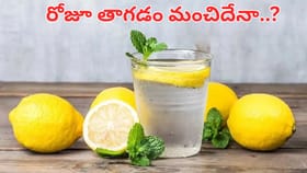 రోజూ నిమ్మకాయ నీళ్లు తాగడం ఆరోగ్యానికి మంచిదేనా..? అసలు నిజాలు..