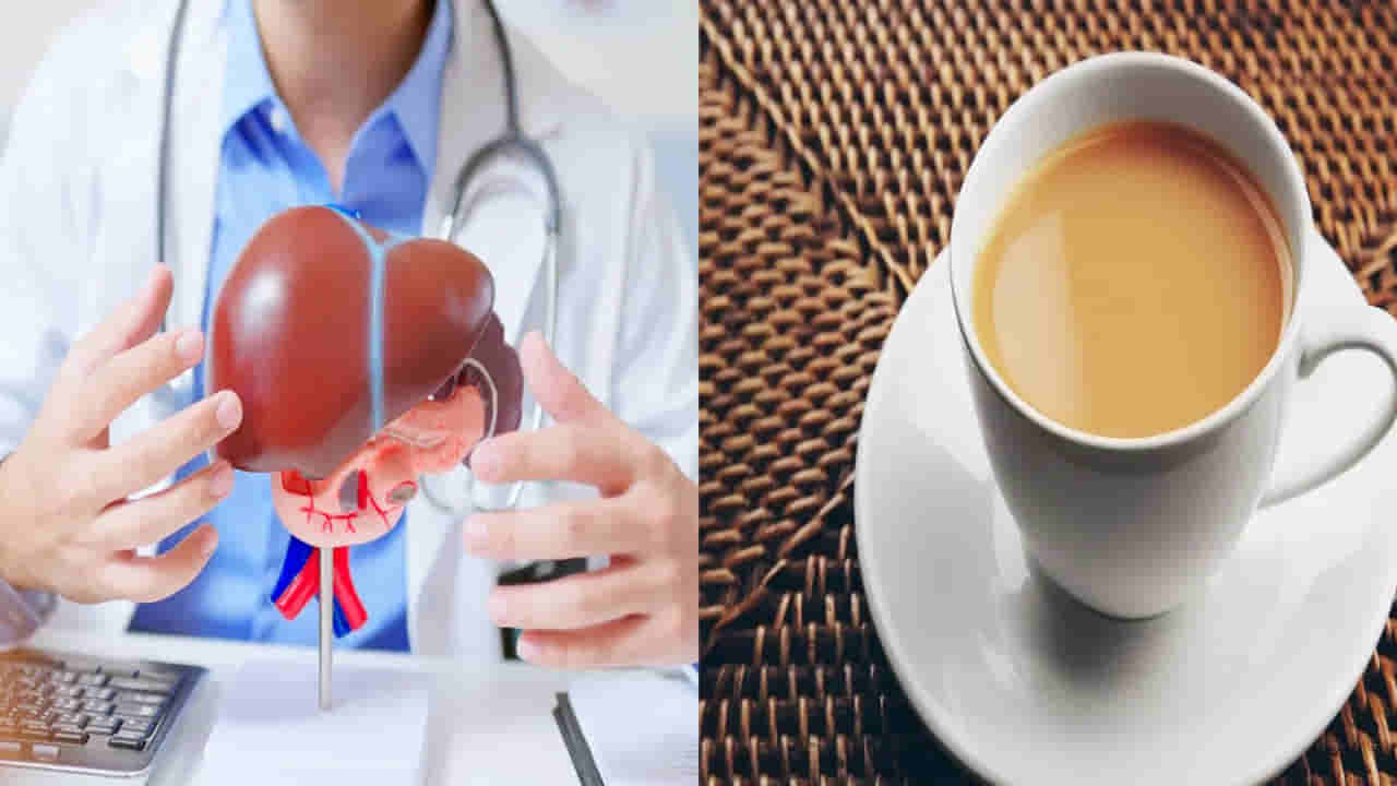 మీ టీ కప్పులో దాగున్న కనిపించని ముప్పు.. లివర్ ఆరోగ్యం కోసం ఈ వాస్తవాలు తెలుసుకోండి..