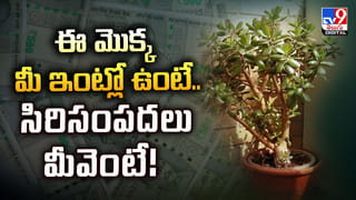 Sankata Hara Chaturthi: ఇది అత్యంత అరుదైన రోజు.. అడ్డంకులు, అప్పుల బాధలు తొలగాలంటే..?