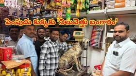 పెంపుడు కుక్కకు 'నిలువెత్తు బంగారం'తో తులాభారం.. ఎందుకో తెలిస్తే