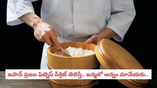 నాన్‌వెజ్‌ ప్రియులకు ఇష్టమైన ఫిష్‌కర్రీ..ఈ చేపల టేస్టేవేరు…! ఒక్కసారి రుచి చూశారంటే..