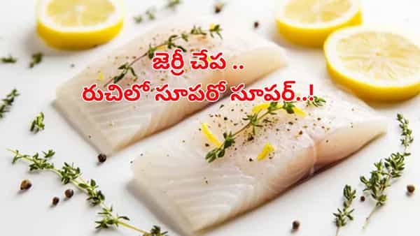 నాన్వెజ్ ప్రియులకు ఇష్టమైన ఫిష్కర్రీ..ఈ చేపల టేస్టేవేరు...! ఒక్కసారి రుచి చూశారంటే..