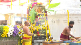 Andhra: సాక్షాత్తు ఆ వెంకటేశ్వర స్వామి వారే ప్రత్యక్షమయ్యారు.. ఈ ఆలయం గురించి మీకు తెలుసా..