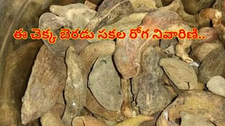 Beauty Tips: కాస్ట్‌లీ మేకప్‌ కిట్స్‌ వద్దు.. ఈ సింపుల్‌ టిప్స్‌తో ఇంట్లోనే అందాన్ని పెంచుకోండి!