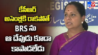 విష పదార్థాలతో కుక్కలను చంపినట్టు గుర్తింపు