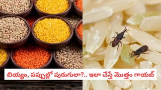 Super Food: మటన్, చికెన్ బలాదూర్: ఈ కూరగాయ ముందు నాన్-వెజ్ కూడా తక్కువే..