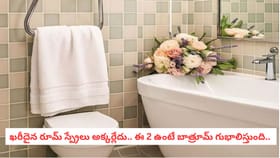 ఖరీదైన రూమ్ స్ప్రేలు అక్కర్లేదు.. ఈ 2 ఉంటే బాత్రూమ్ గుభాలిస్తుంది